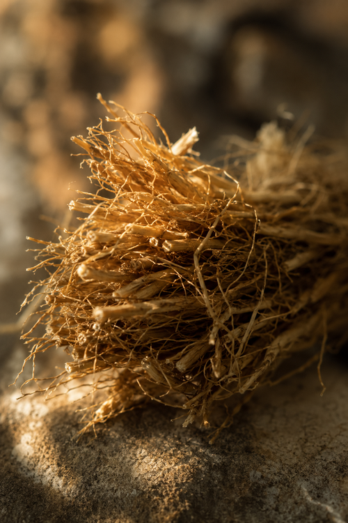 Vetiver