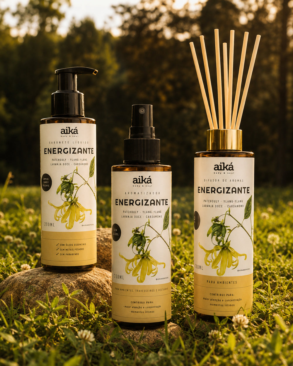 Kit Energizante
